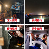 大有DEVON 工作太陽燈(鋰20V)(2000流明)(淨機) 5532-LI-20